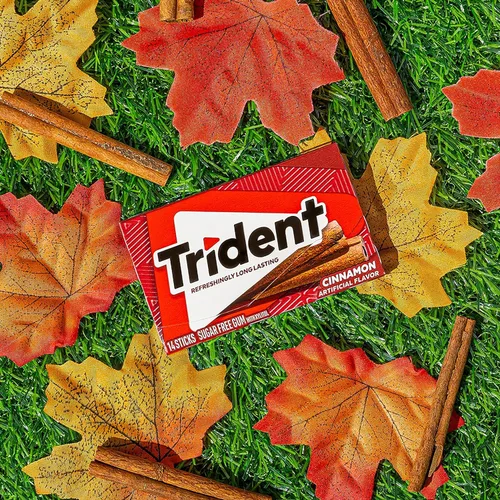 Vista 12 de Trident Goma de mascar de canela sin azúcar, 3 paquetes de 14 piezas (42 piezas en total)