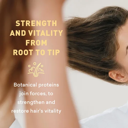 Vista 6 de Just Nutritive Champú Extreme Dry Hair El mejor champú para cabello extremadamente seco Restaura el cabello seco dañado Nutrición profunda