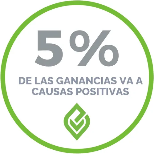Vista 9 de Ecovita Platos de papel 100 % compostables [9 pulgadas] – 150 platos desechables ecológicos, resistentes, libres de árboles, líquidos y resistentes
