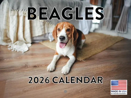 Vista 11 de Calendario mensual de pared Airedale Terrier Dog 2027 rojo (Airedale Terrier)