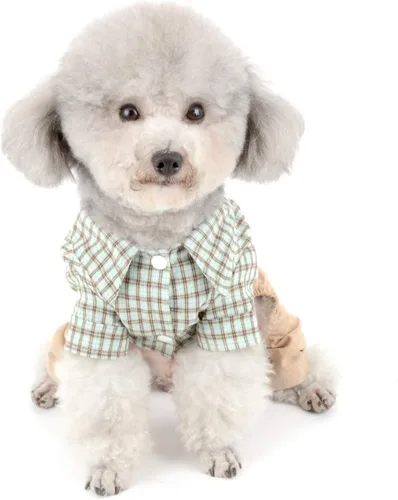 Vista 6 de SMALLLEE_Lucky_Store Camisas de algodón a cuadros británicos con botones para perros pequeños, niños con cinturón, pantalones casuales
