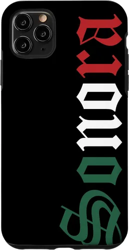 Vista 13 de Sonora Mexico Mexican Flag State Estado Case for iPhone 16