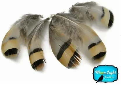 Vista 2 de Perdiz feathes, plumas naturales; chukar Perdiz Gallina Feather – 0,10 onza Pack