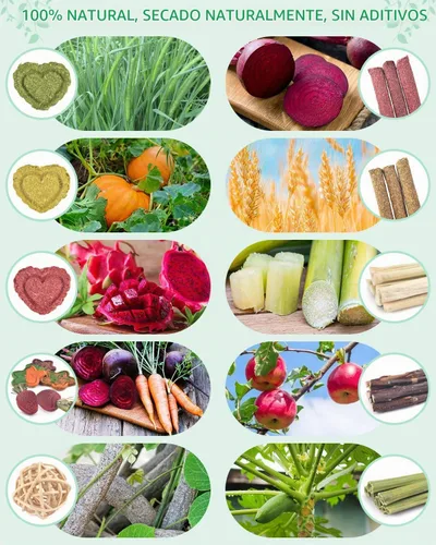 Vista 4 de ERKOON 53 juguetes masticables de conejo para dientes de conejos, juguetes naturales de conejo con palitos de madera de manzana, zanahoria, hierba