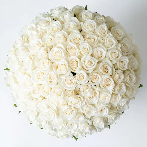 Vista 15 de GlobalRose Ramo de 50 rosas surtidas, rosas de origen responsable, flores frescas, ramo fresco de flores seleccionadas a mano para el día