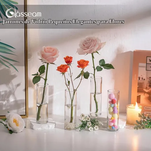 Vista 4 de Glasseam Pequeño florero de cristal: 12 jarrones cilíndricos para centros
