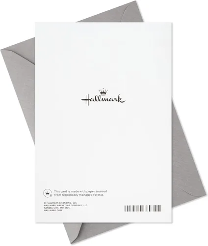 Vista 4 de Hallmark Surtido de tarjetas de graduación, felicitaciones graduadas (8 tarjetas con sobres, 4 diseños)