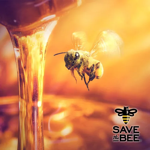 Vista 3 de Glorybee, Miel orgánica ligera y suave, 100% miel de grado A de EE. UU., 5 libras