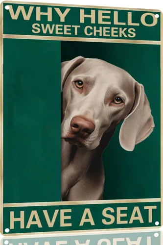 Vista 41 de Labrador Retriever - Letrero de metal con texto en inglés "Why Hello Sweet Cheeks Have A Seeks Have A Seeks" (1683)
