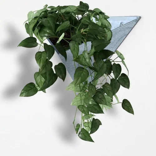 Vista 6 de Vandue Modern Home - Maceta triangular de acero galvanizado de acero galvanizado y zinc para suculentas/hierbas, recipiente para macetas