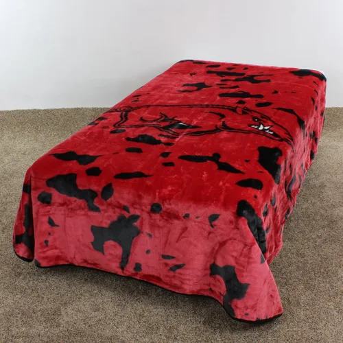 Vista 3 de College Covers Everything Comfy Arkansas Razorbacks Manta de Tiro Raschel Suave, Cálida y Enorme, 86" x 63