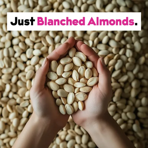 Vista 5 de JOI JOI - Concentrado simple de leche de almendras sin azúcar – 60 cuartos de galón – Vegana, Kosher, estable en el estante, apta para dieta