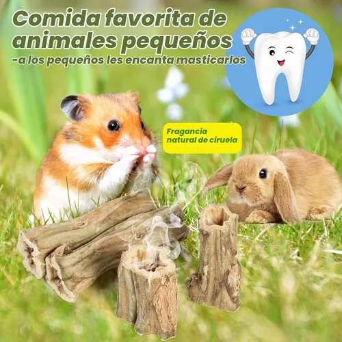 Vista 4 de Abizoo Juguetes masticables de conejo para conejos, 4 piezas de madera de papaya natural, palitos masticables de conejito para dientes, chinchilla