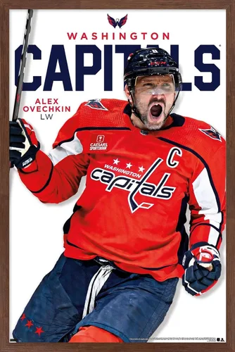 Vista 16 de Trends International NHL Washington Capitals - Póster de pared de la serie 23 de Alexander Ovechkin, 22.4 pulgadas de largo x 14.7 W, versión