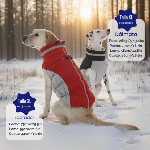 Vista 6 de FUAMEY Abrigo para perros pequeños, chaqueta de invierno de forro polar