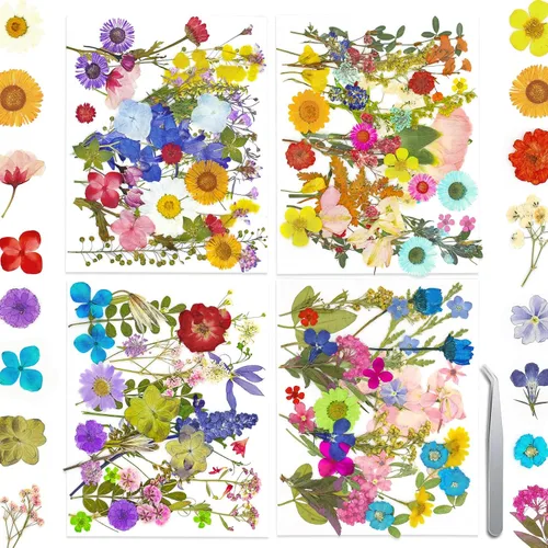 Vista 9 de Más de 170 pétalos de hojas de flores secas prensadas para manualidades, hermosas flores prensadas margaritas para joyas de resina, flores