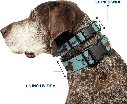 Vista 2 de Collar de perro Clip de plástico Dachshund 4 Perros Patas Aquas 9 a 15 pulgadas 1.0 pulgadas de ancho