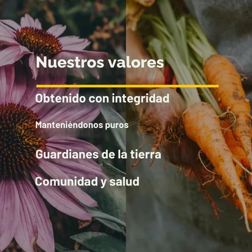 Vista 7 de Natural Factors Ultimate Probiotic Senior's 35 mil millones de UFC, 30