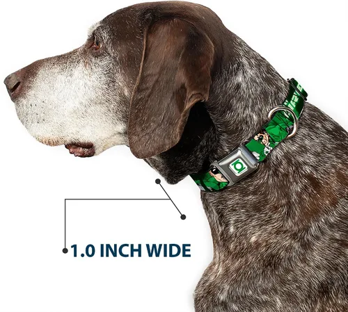 Vista 6 de Buckle-Down Collar de perro con hebilla de cinturón de seguridad, verde linterna verde brillante con texto, 1 pulgada de ancho, se adapta a cuello