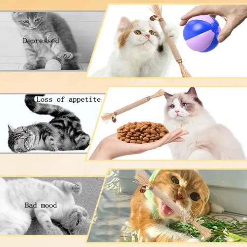 Vista 4 de Paquete de 6 palitos Silvervine para masticadores de gatos, palitos naturales para masticar gatos, juguetes interactivos para masticar, varitas