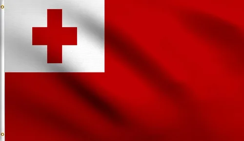 Vista 122 de DMSE - Bandera nacional beninesa beninesa de la República de África Occidental, 2 x 3 pies, 100 % poliéster, 100 % poliéster, resistente a los rayos