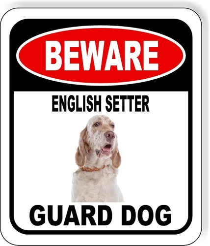 Vista 81 de BEWARE BASSETT HOUND GUARD DOG - Letrero compuesto de aluminio para exteriores, 8.5 x 10 pulgadas CUIDADO BASSETT HOUND GUARD PERRO