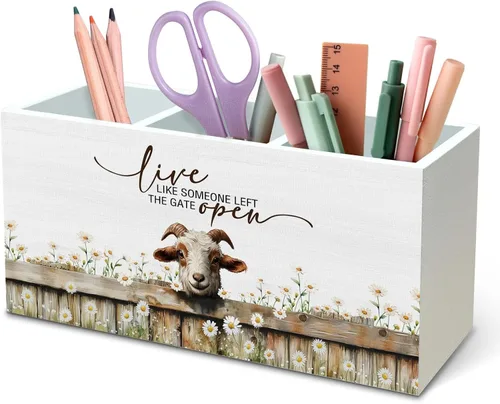 Vista 8 de DILSJ Organizador inspirador de 2 compartimentos para lápices, organizador para escritorio, amantes de los pollos regalos para mujeres, Live Like