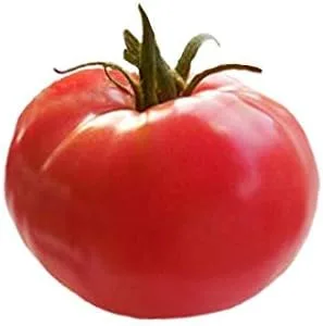Vista 2 de Arkansas Traveler Heirloom Tomate - 10 semillas - Sin OMG
