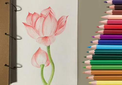 Vista 6 de SKKSTATIONERY 50 lápices de colores, embalaje en lata, 50 colores vibrantes, lápices de dibujo para el regreso a la escuela, bocetos, artes, libros