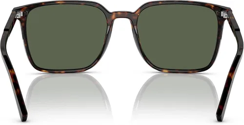 Vista 3 de Dolce & Gabbana Gafas de Sol DG 4424 5029A Havana, Varios