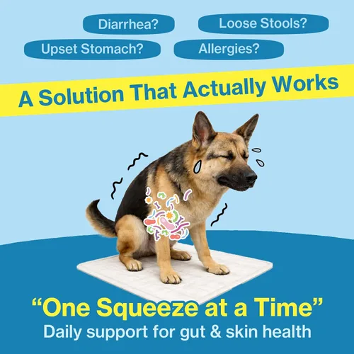Vista 2 de Doctor By Probióticos exprimibles para perros Salud intestinal Inmunidad Cuidado de la piel y alergia Alivio de la diarrea Soporte digestivo
