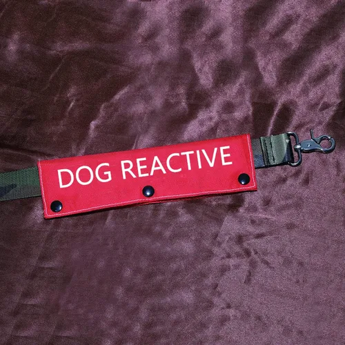 Vista 3 de Divertida funda para correa para perro, correa reactiva para perro, alerta, parche de identificación colgante, regalo de cumpleaños para mascotas