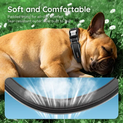 Vista 3 de Collar de perro personalizado ilFindYou con etiqueta de código QR para identificación de mascotas, collar reflectante de seguridad, adecuado