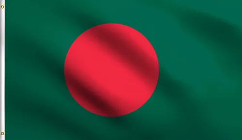 Vista 62 de DMSE - Bandera nacional beninesa beninesa de la República de África Occidental, 2 x 3 pies, 100 % poliéster, 100 % poliéster, resistente a los rayos