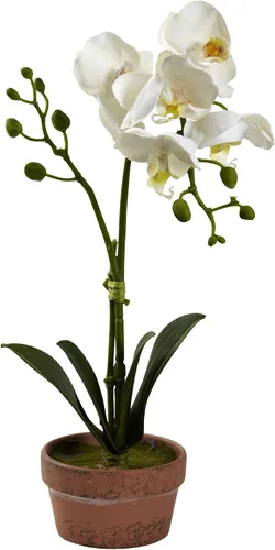 Vista 5 de Nearly Natural Orquídea Phalaenopsis con jarrón de arcilla (juego de 4)