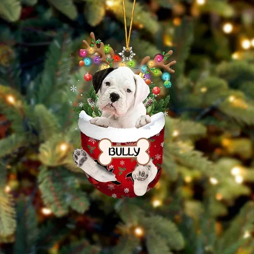 Vista 117 de IZI POD Affenpinscher Adorno de Navidad personalizado para perro, adorno de bolsillo de nieve para perro para árbol de Navidad, adorno acrílico