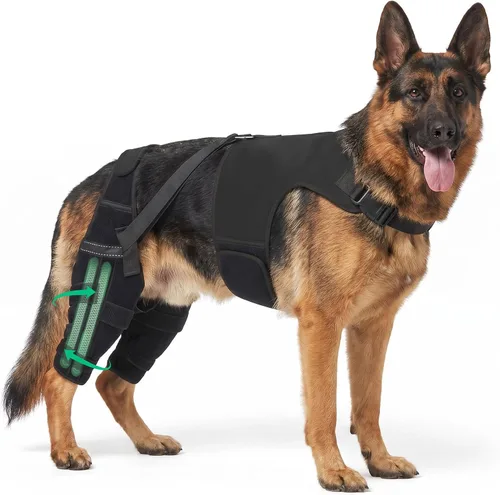Vista 9 de Rodilleras para perro para soporte de pierna trasera, soporte ACL/CCL