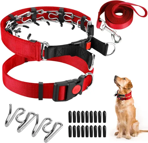Vista 15 de Collar de entrenamiento de puntas con puntas cómodas y hebilla de cierre rápido – Collar de pellizco para perro con cubierta de nailon