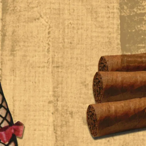 Vista 9 de Póster de viaje con diseño de puros cubanos en lienzo, diseño vintage de niña Pinup con medias de red, para viaje: Habanas Mas Fino