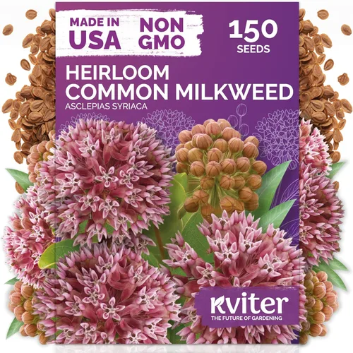 Vista 25 de KVITER 15,000 semillas de rosa musgo mixta para plantar (Portulaca grandiflora) – Cubierta de suelo con floración de reliquia, semilla de Portulaca
