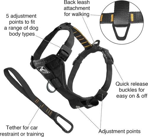 Vista 2 de Kurgo Tru-Fit - Arnés inteligente para caminar para perros, ajuste cómodo, arnés ajustable, ropa reflectante para mascotas, liberación rápida