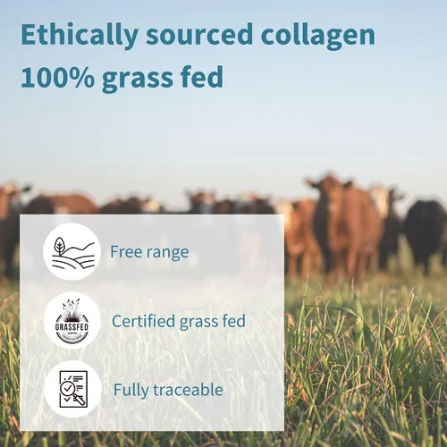 Vista 4 de Igennus - Péptidos de colágeno bovino hidrolizados alimentados con pasto, sabor neutro, polvo de proteína de colágeno bovino 100% de la más alta