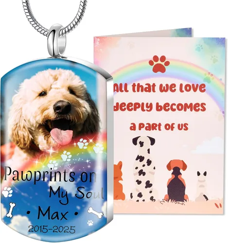 Vista 26 de Fanery Sue Collar personalizado para cenizas de mascotas para perros y gatos, foto y texto personalizados, regalo de condolencia, regalo