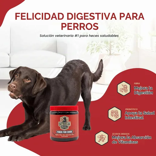 Vista 2 de Daybreak Nutrition Fibra para perros Polvo de cáscara de psyllium