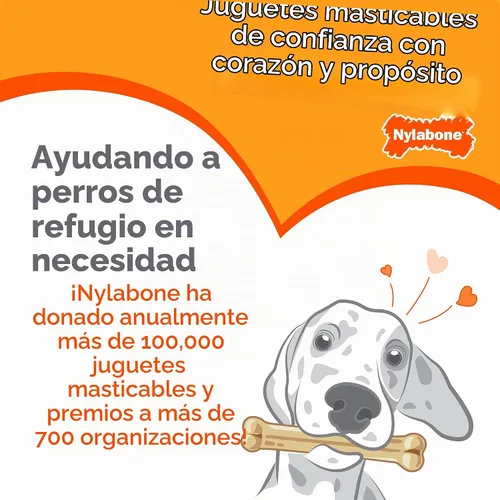 Vista 9 de Nylabone Power Chew Dental Groove - Juguete masticable para perro, sabor Marrón