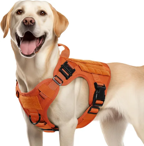 Vista 13 de rabbitgoo - Arnés táctico para perros pequeños, arnés resistente para mascotas con asa, chaleco de servicio sin tirones para razas pequeñas, chaleco