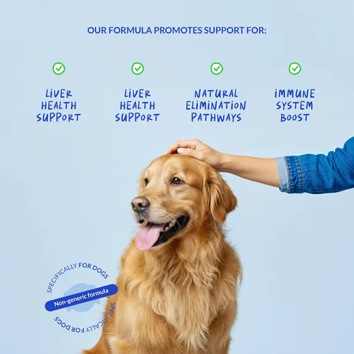 Vista 2 de Cardo mariano para perros - Apoyo hepático y renal - Soporte hepático con EPA y DHA - Desintoxicación - Suplemento hepático con colina y L-Arginina