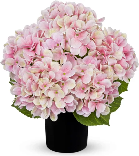 Vista 24 de Hollyone Flores artificiales de hortensias azules en maceta, flores grandes de seda de tres cabezas, arreglos florales falsos para interiores