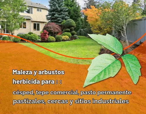 Vista 3 de Pro Brush & Poison Ivy Killer – 32oz – (Comparar con Crossroad) Herbicida concentrado posemergente para plantas leñosas, cepillo y control
