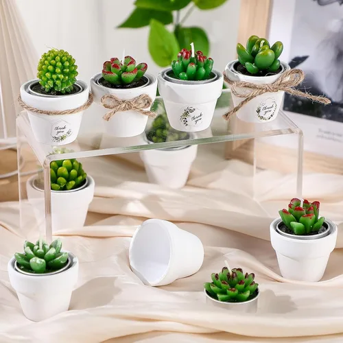 Vista 4 de MTLEE Maceta de velas de cactus, 18 velas de cera de parafina para suculentas con mini macetas de arcilla de terracota blanca, para recuerdos